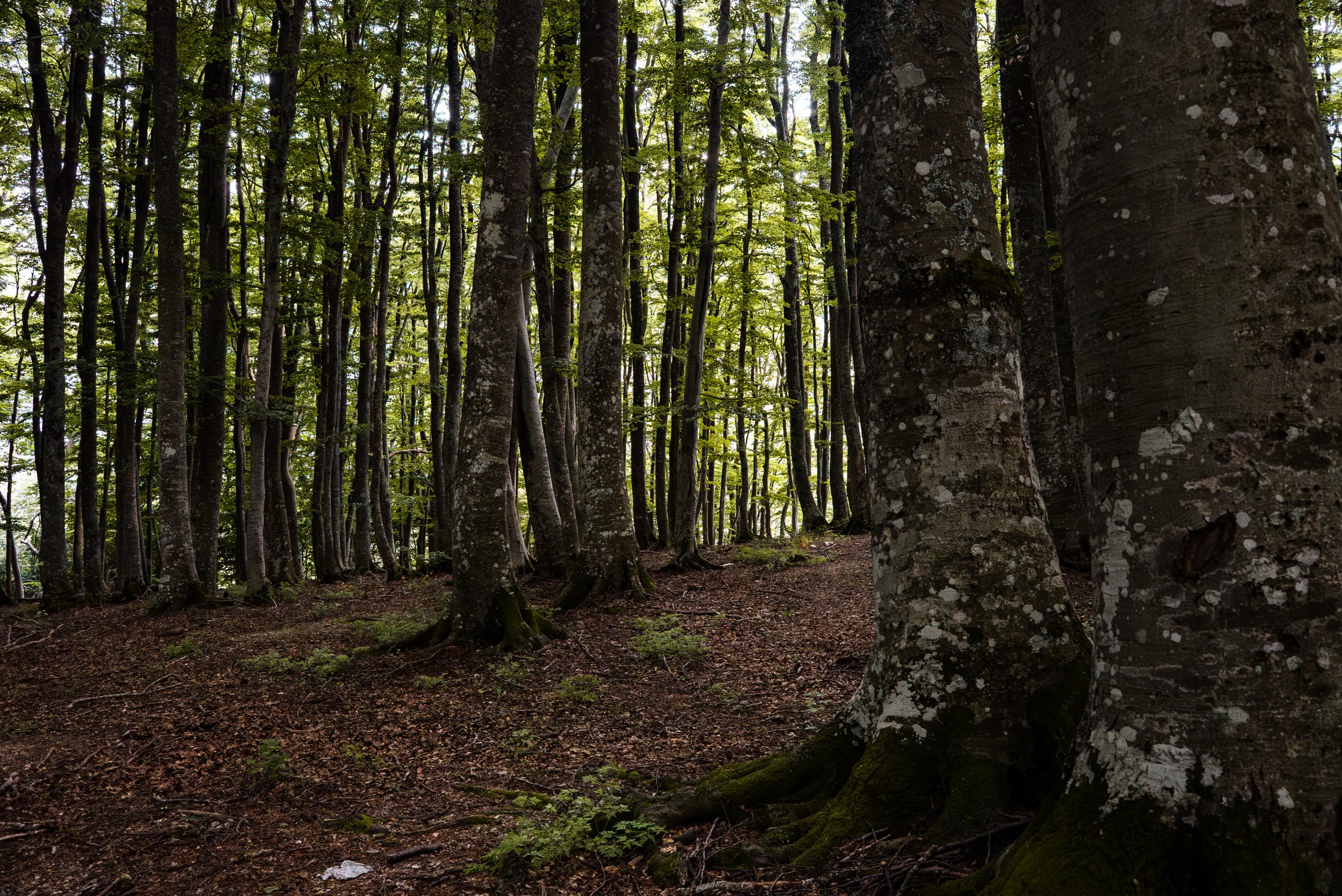 Immagine della destinazione