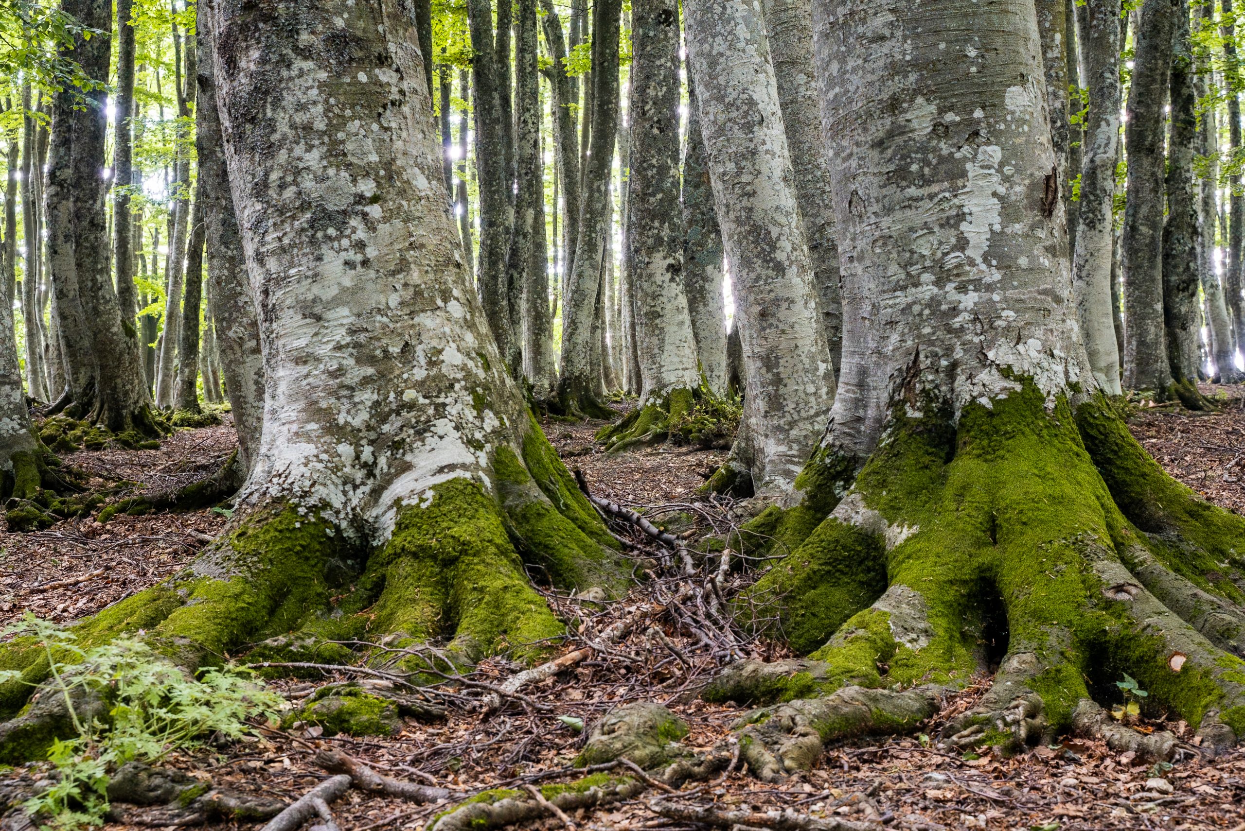 Immagine della destinazione