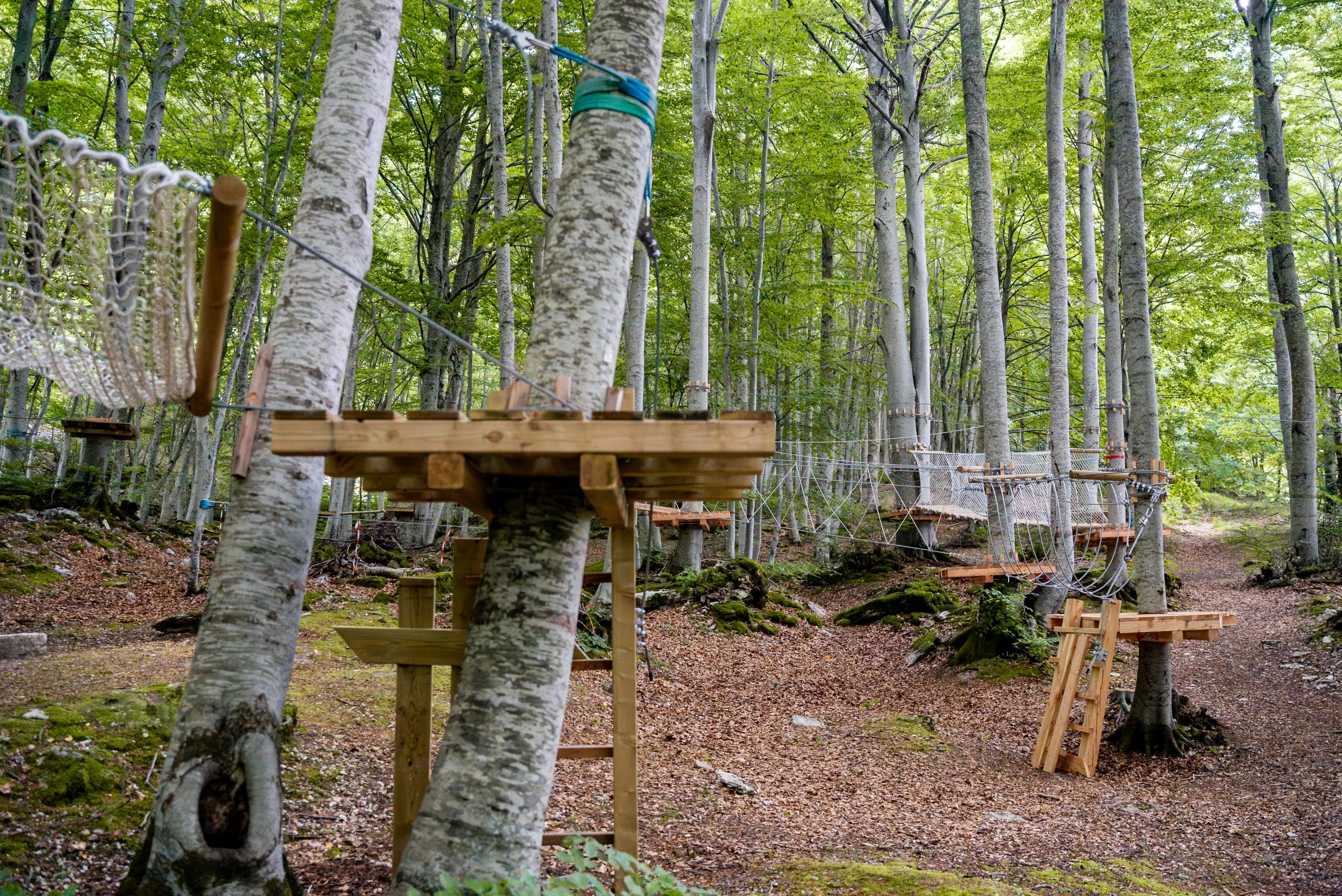 Immagine della destinazione