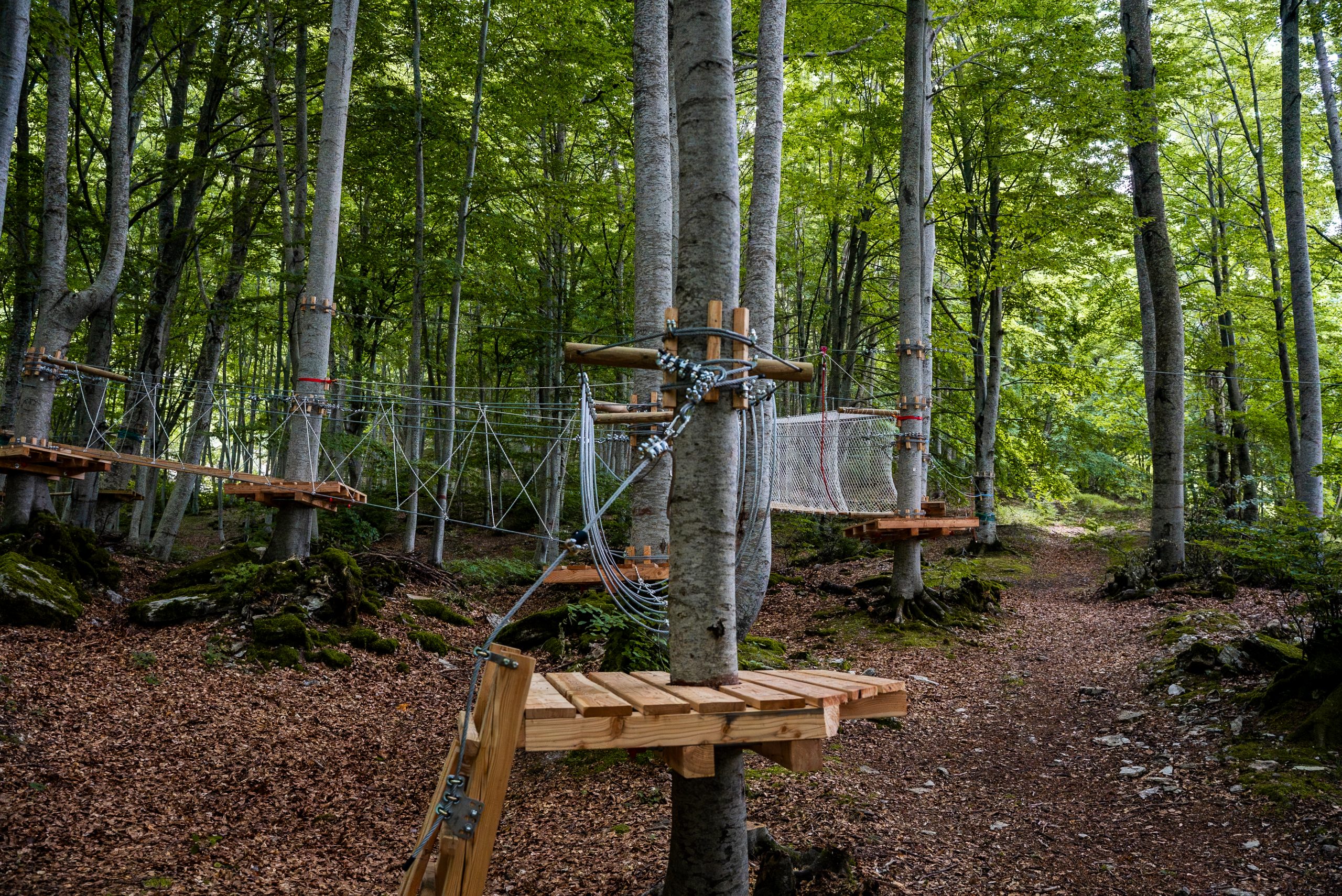 Immagine della destinazione