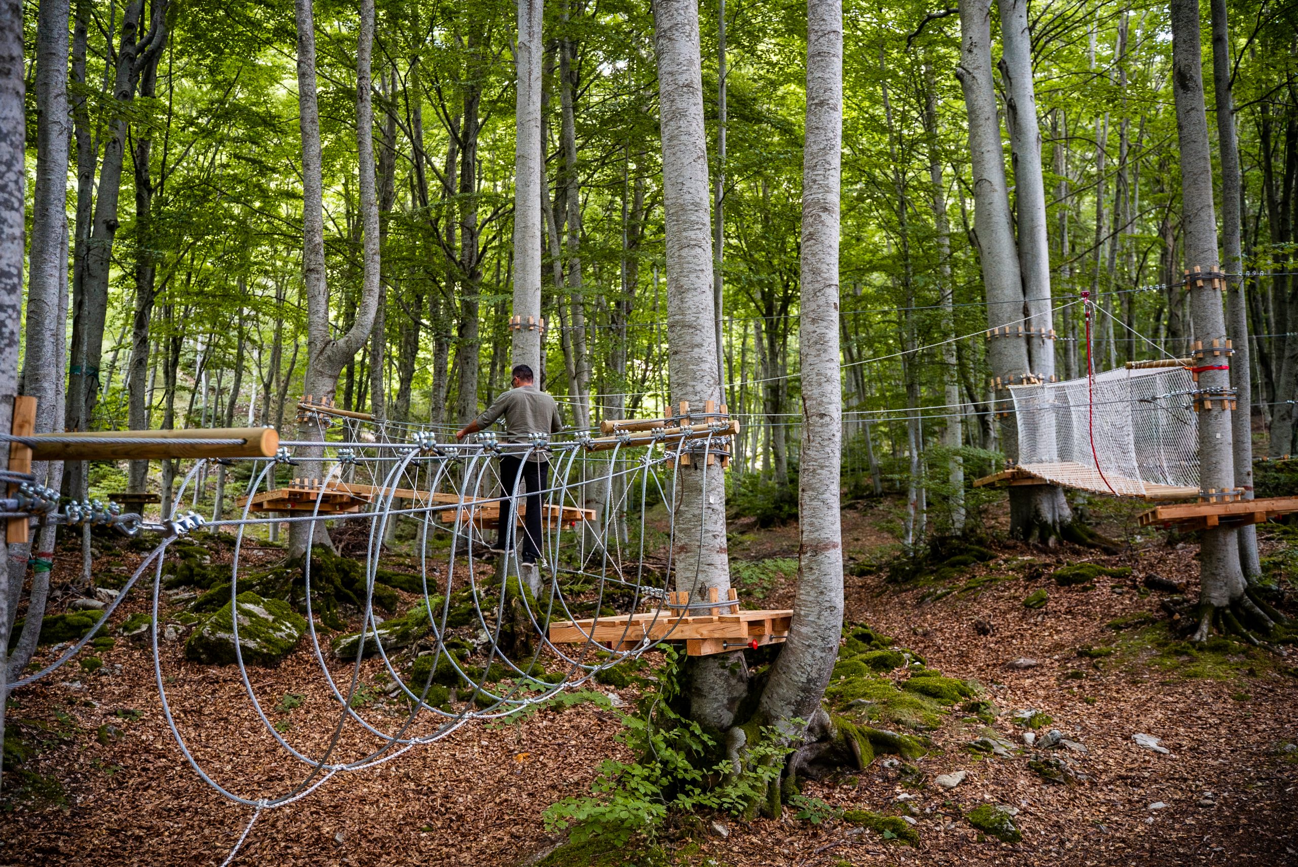 Immagine della destinazione