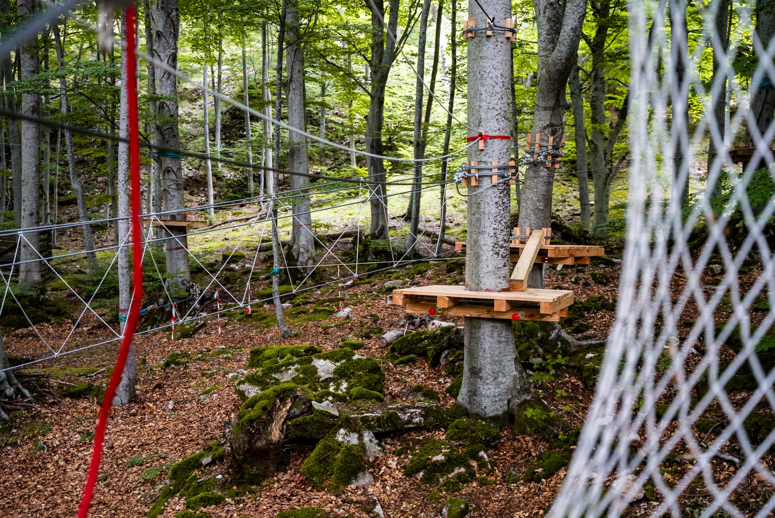 Immagine della destinazione