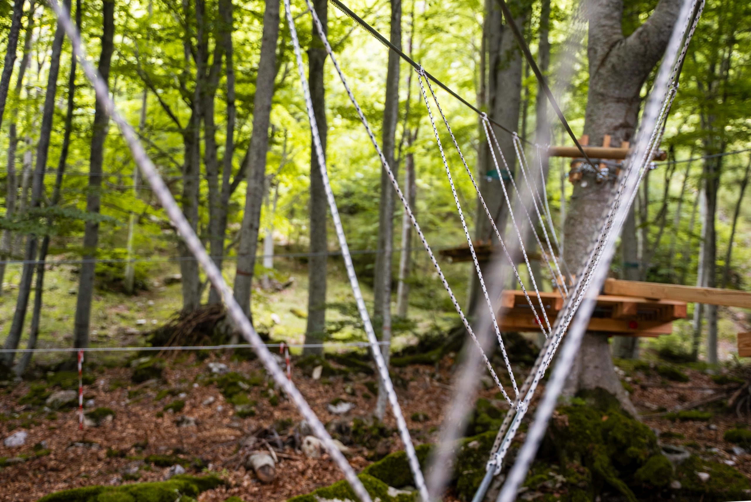 Immagine della destinazione