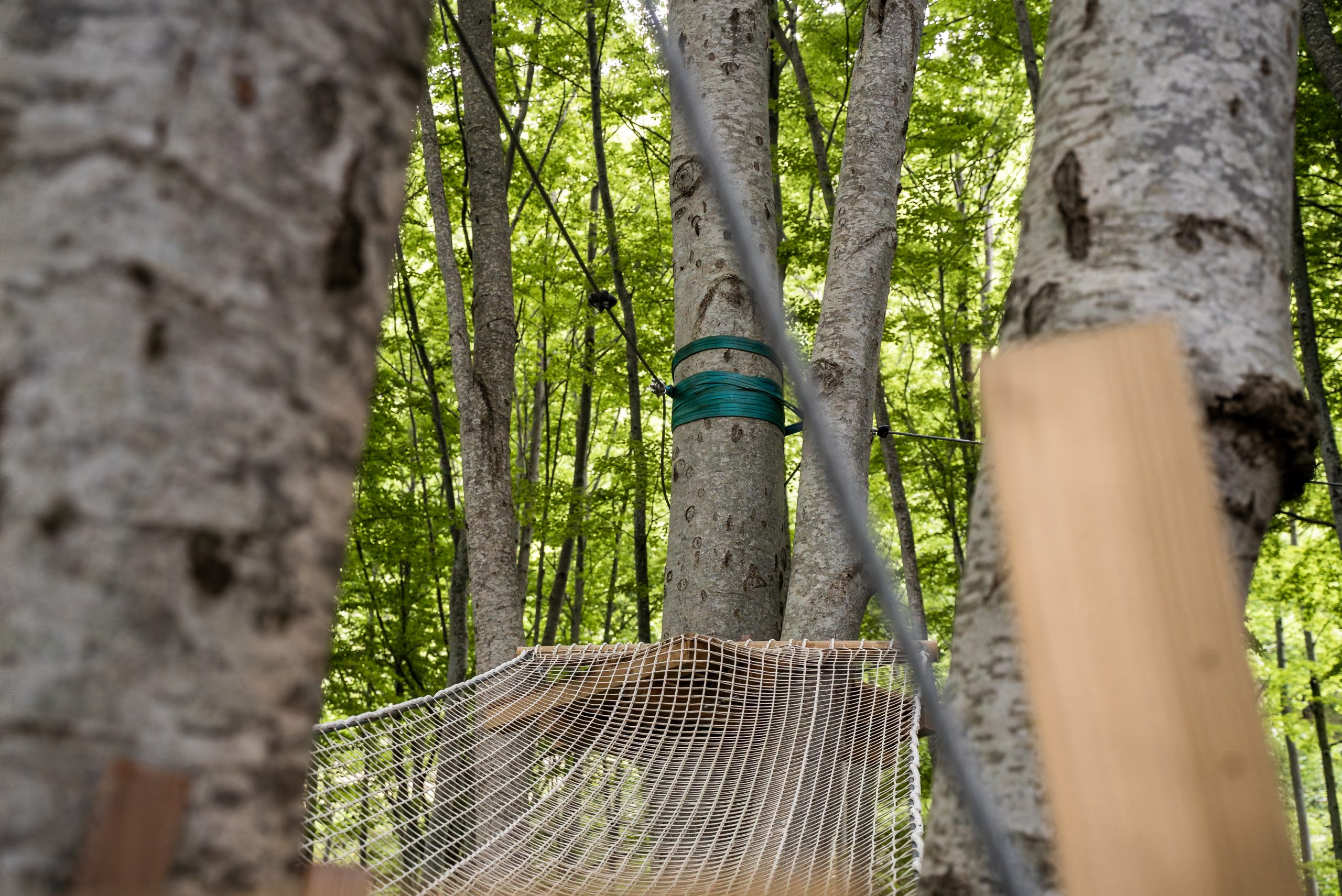 Immagine della destinazione