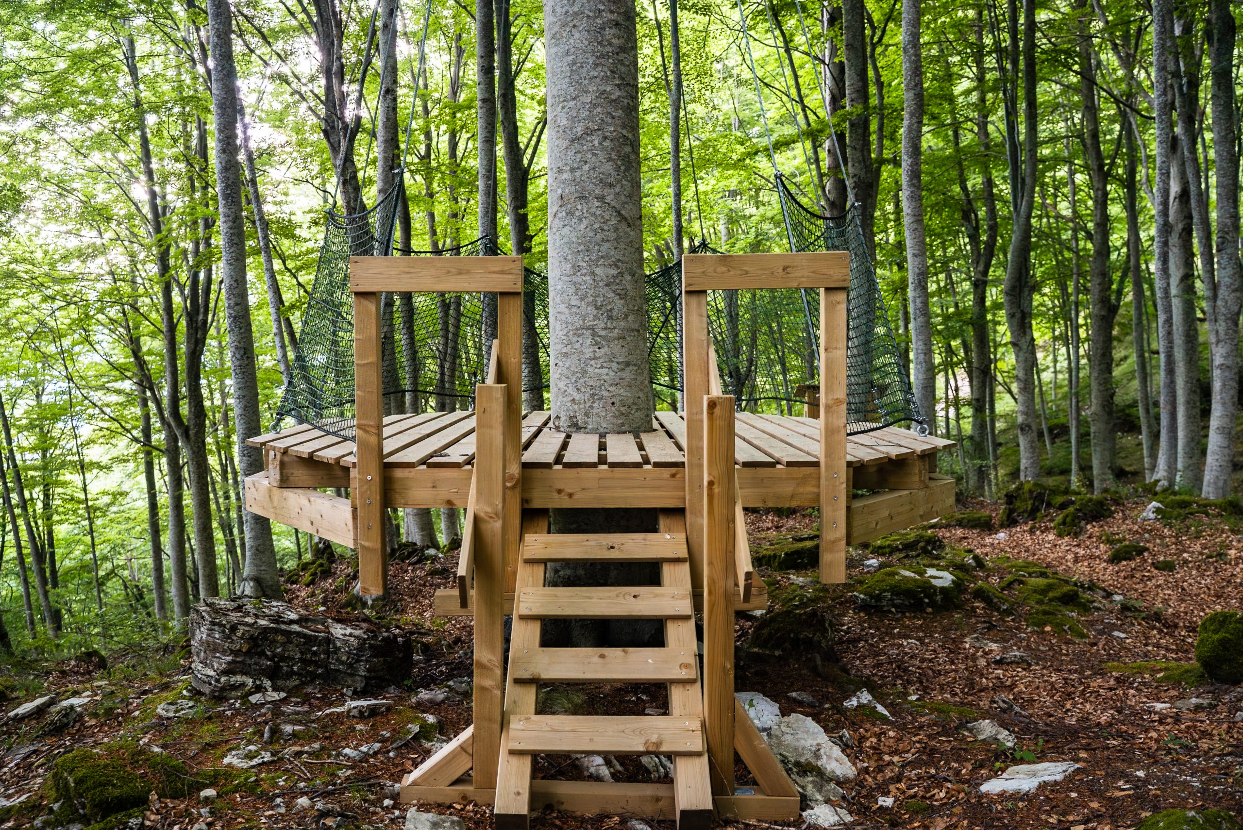 Immagine della destinazione