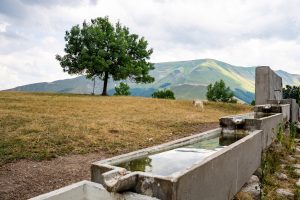 Fonte di Pian di Sopra