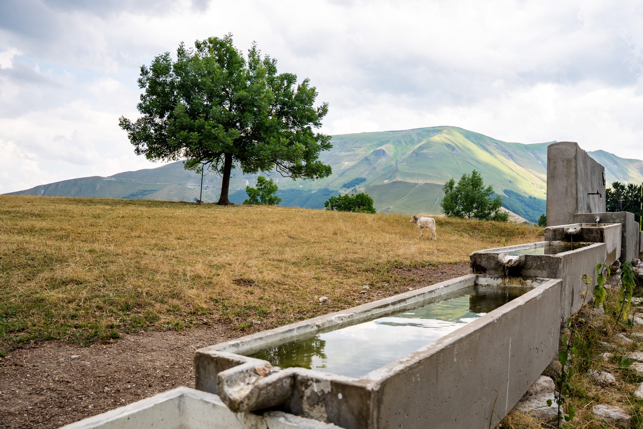 FONTE DEL PIAN DI SOPRA