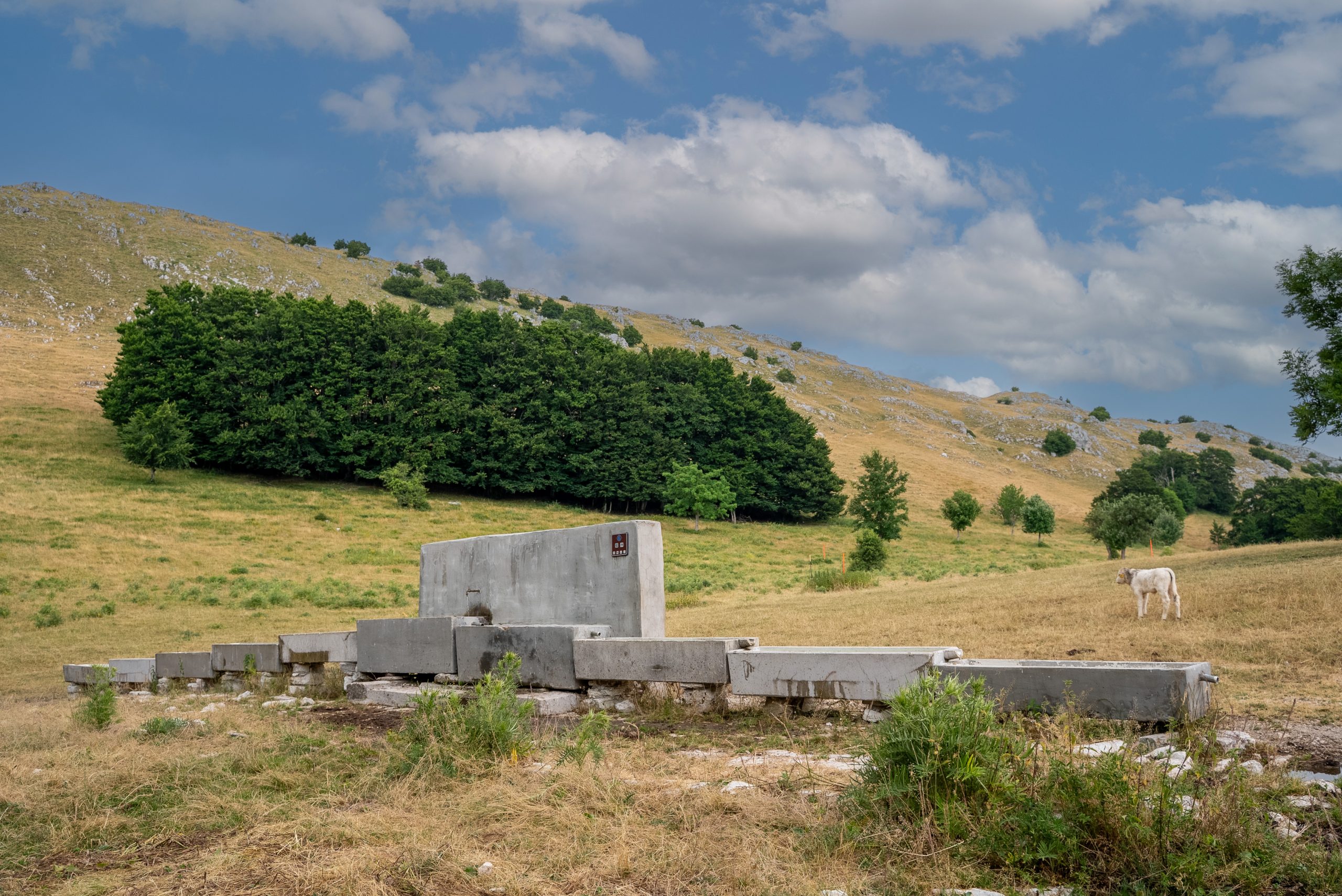 Immagine della destinazione