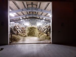 AZIENDA AGRICOLA DE MICHELIS