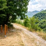 Immagine associata all'itinerario: Percorso Natura – La Vita in Armonia con l’Ambiente